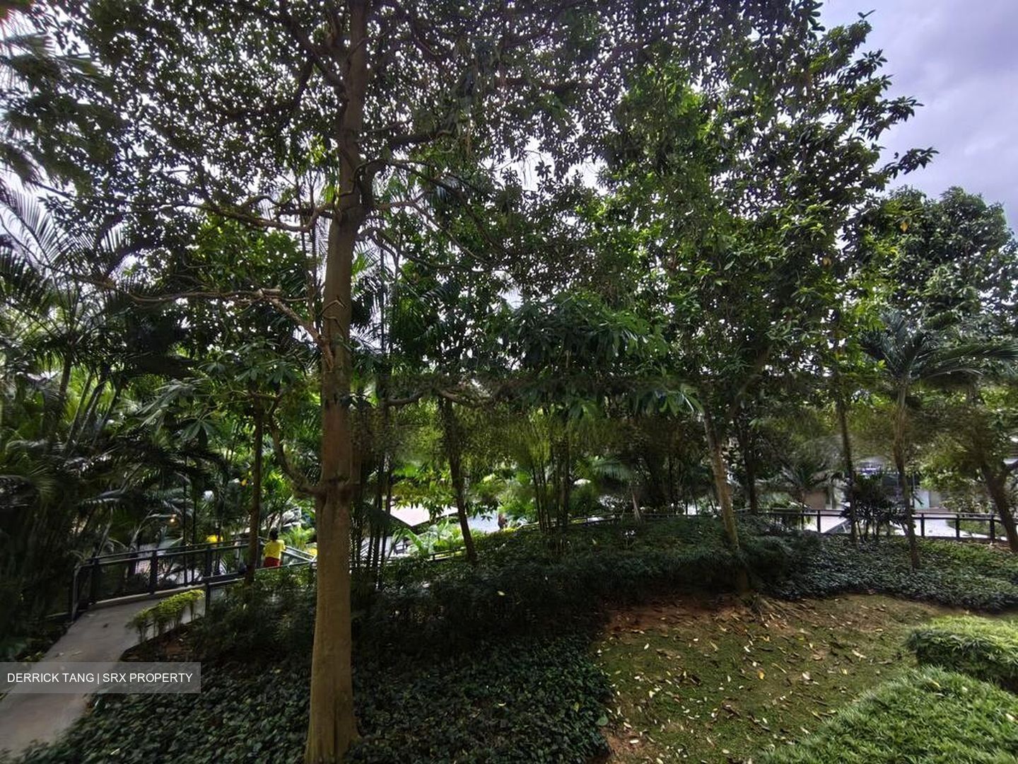 The Glades (D16), Condominium #464425581